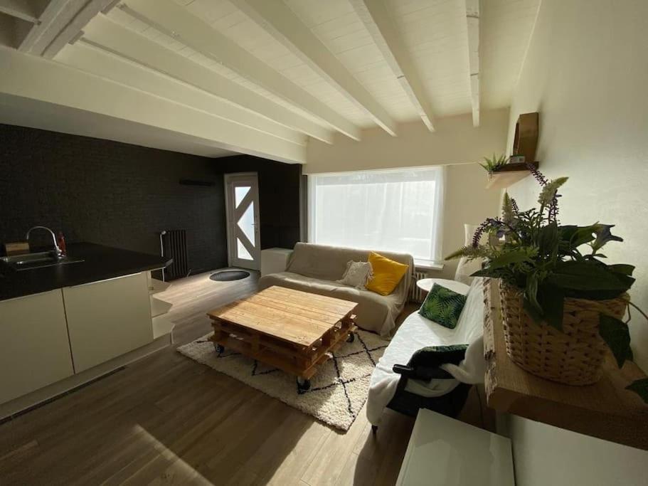 Cosy Beachhouse Within Walking Distance Of The Sea Vila De Haan Exterior foto